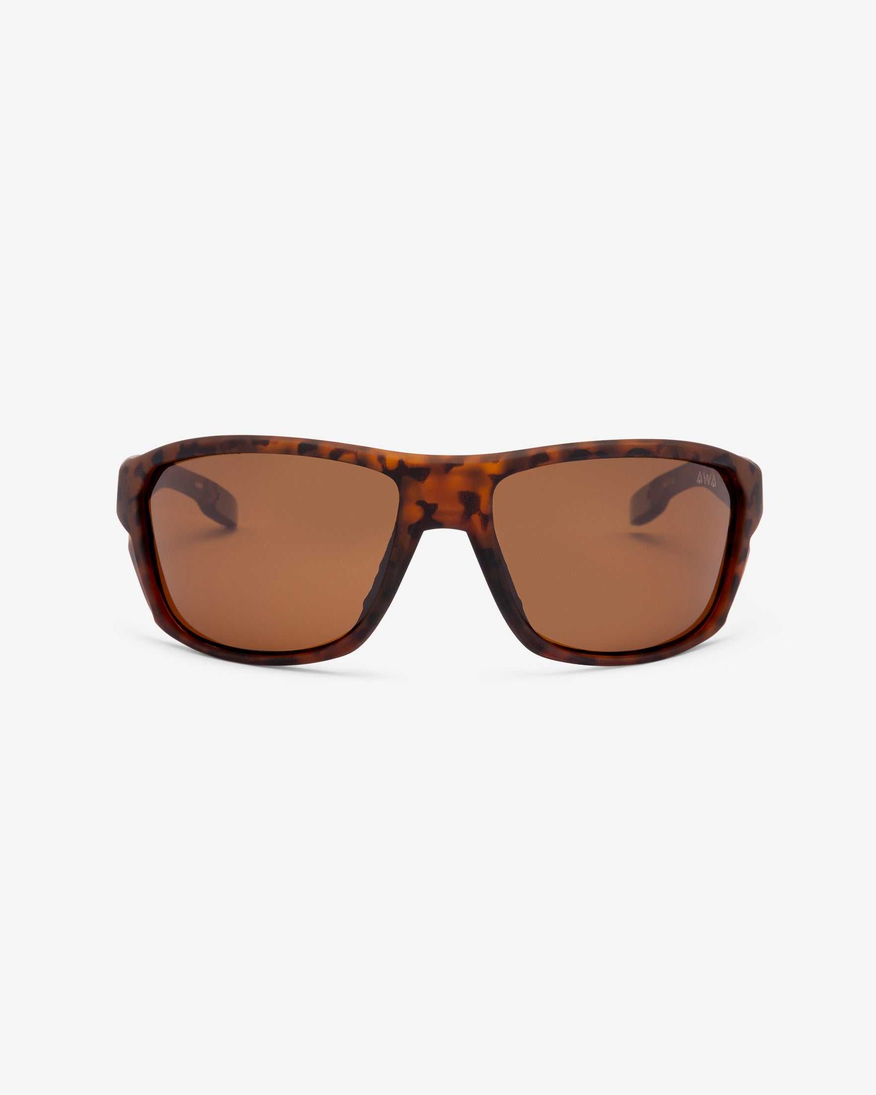 WE ARE BROWN TORTOISESHELL