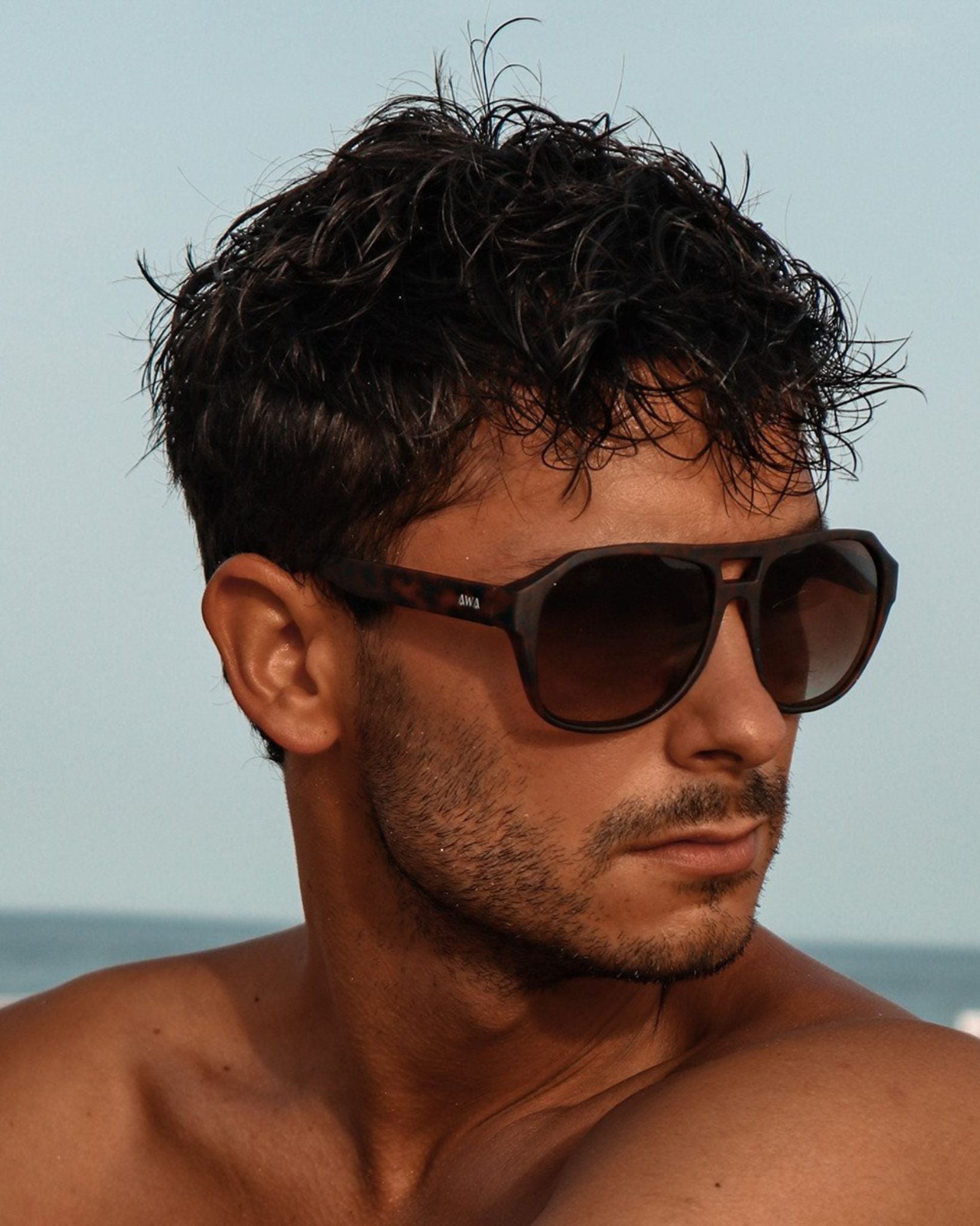 MAVERICK BROWN TORTOISESHELL